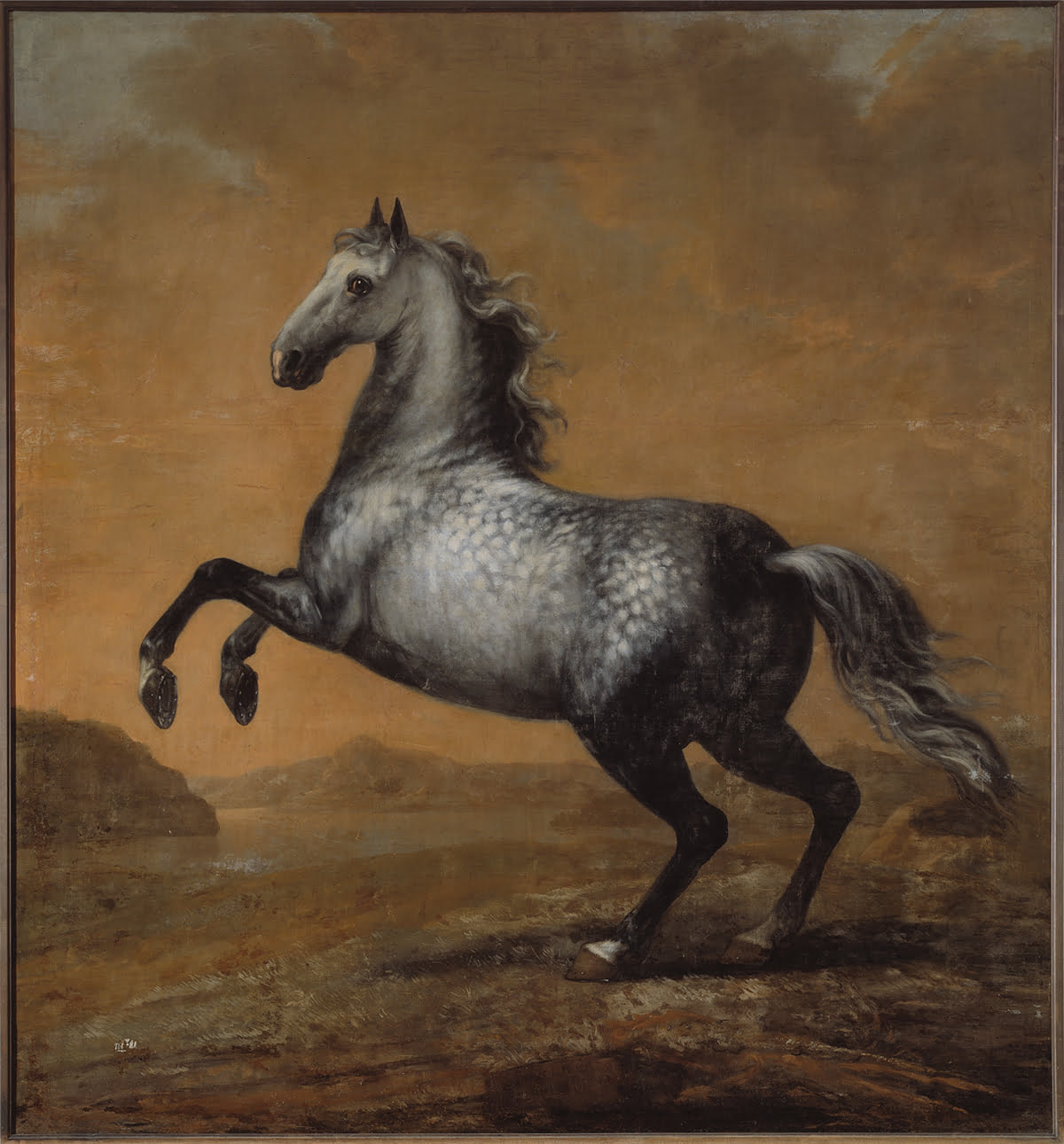 Målning av Karl XI:s livhäst Den Lille Engländaren stegrandes i ett landskap.