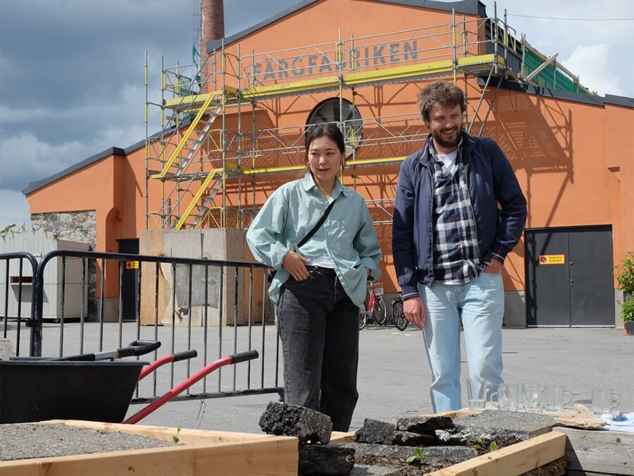 Ruderal_garden_garden_loops_2024