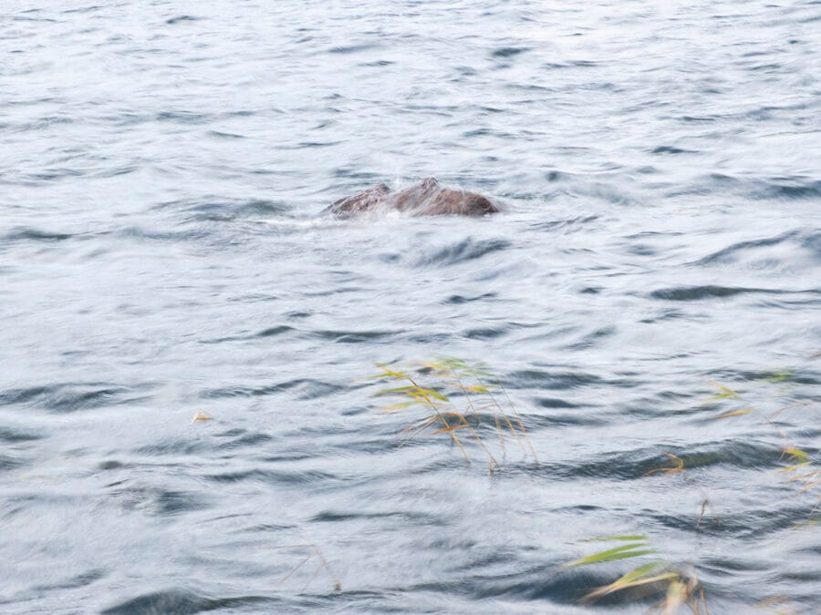 Erdiola Kanda Mustafaj_07