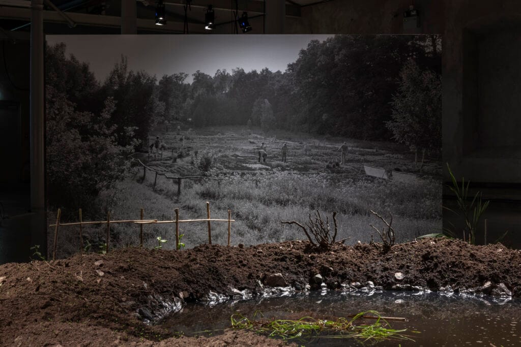 The Sprouting House, Leone Contini, 2026, Foto Johan Osterholm